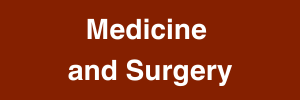 Medicina e Chirurgia