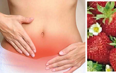 Immagine Estratto concentrato di frutti di fragole con alta capacita' antiossidante per il trattamento e la prevenzione dei leiomiomi uterini